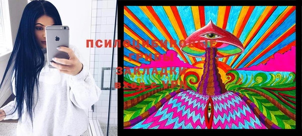 Альфа ПВП Богородск